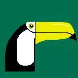 Toucan