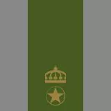 SwA - Förvaltare - Förv - Warrant Officer 2 - WO2 (Sweden)