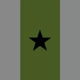SwA - Brigadgeneral - Bgen - Brigadier - Brig (Sweden)