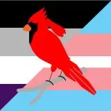 April Aviatrix Asexual Trans Pride Flag emblem