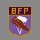 BFP (Brigada de Fusileros Paracaidistas de México)