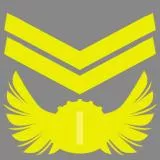 Republic Of Korea Army Sergeant First Class(대한민국 육군 중사)