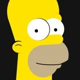 homer simpson 20 layer edition