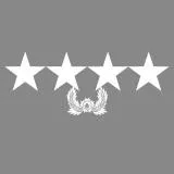 대장 계급장 (수정)