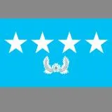 대장 계급장 성판 (공군)  