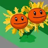 sunflower plants vs zombies