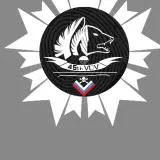 45th VDV SPN Brigade