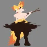 Braixen