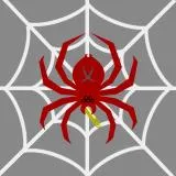 Spider of War
