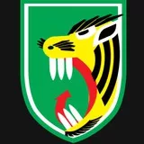 Korea Tiger Division