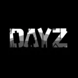 DayZ