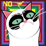 Grumpy cat NO!~