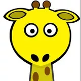 Funny giraffe