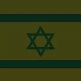 Israeli flag patch