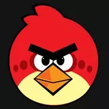 ANGRY BIRD