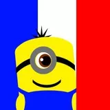 minion pour France