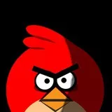 Angry Bird