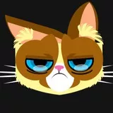 grumpy cat
