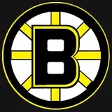 Boston Bruins