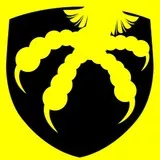 aigle eagle  animals birth oiseau 