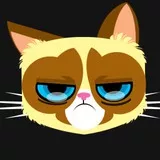 grumpy cat