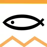 映音写実技研魚