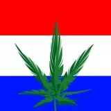 Dutch weed flag