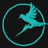 ARPEGGIO OF BLUE STEEL