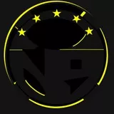 ns platoon logo