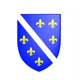 BiH Zastava refleksija 3