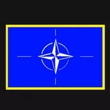 Nato Shoulder Patch