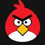 angry bird