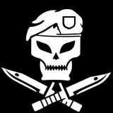 Black ops skull