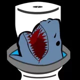 Shark in toilet