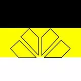 Criciúma E.C - Brazil - Santa Catarina - Criciúma Dortmund -