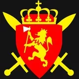 Det norske forsvaret