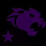 Brighton Panthers Logo