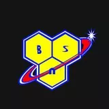 BNS logo