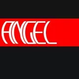 ANGEL Team Tag