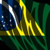 Bandeira do Brasil I