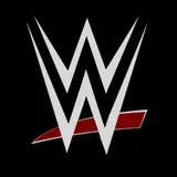2014 wwe logo 