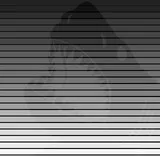 Megalodon shark on paper