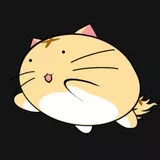 Poyo Cat