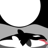 South Park (Willzyx)