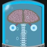 aqua brain
