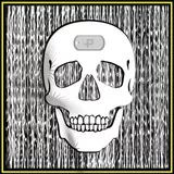 Static Skull
