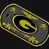 Golden Green Bay Packers dog tags