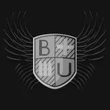 Bureau shield