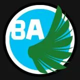 Black Angels Version 2