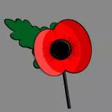 Remembrance Poppy